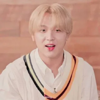 🐧 emoji HHAECHAN V.1 @leviosastory Telegram sticker 17 of 56