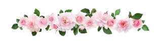 ➖ emoji borders @galeryna Telegram sticker 9 of 24