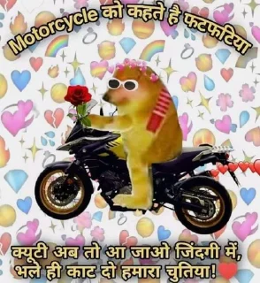 😂 emoji Facts By @novisior Telegram sticker 21 of 32
