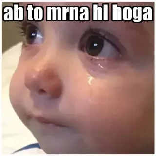 😭 emoji @ansh94082's pack Telegram sticker 11 of 95