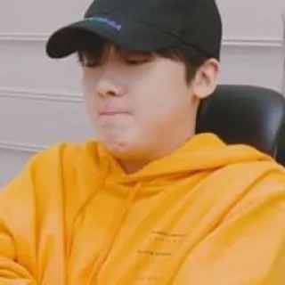 🦧 emoji @yoon_sanha ’s mood Telegram sticker 5 of 49