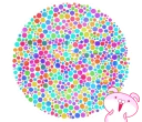 🤓 emoji 你有色盲的問題嗎? Telegram sticker 6 of 40