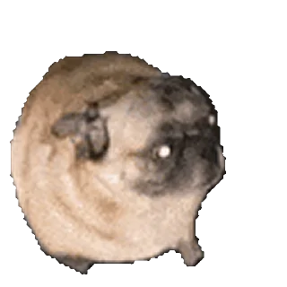 💃 emoji 驼的动态仓库 Telegram sticker 11 of 57