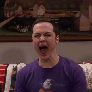 😫 emoji Big Bang Theory Telegram sticker 20 of 50