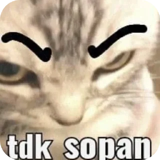 🖼 emoji Kocheng by Abell imut pacar heeseung Telegram sticker 11 of 98
