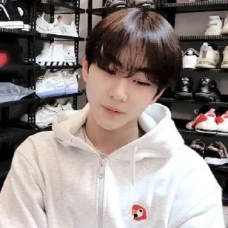 🥤 emoji YANG JUNGWON ✧ @KIMJCNNIEST Telegram sticker 14 of 43