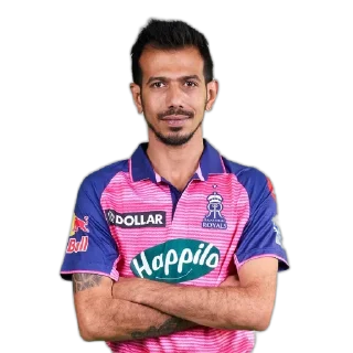 🎾 emoji Rajasthan Royals @IPLFansKerala Telegram sticker 9 of 26