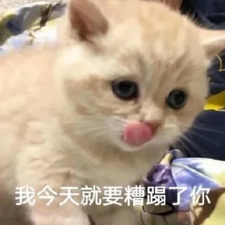 🙂 emoji @leeshunsheng 的私藏 (2) Telegram sticker 15 of 120
