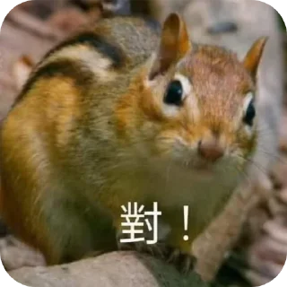 Sticker from KuwaLee貼圖2 @KuwaLeeChannel