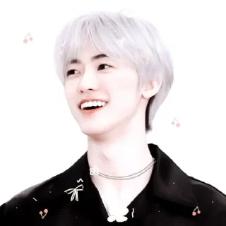 🍞 emoji ㅤ ★ ، na jaemin @DIARYMONCHYZ Telegram sticker 10 of 75