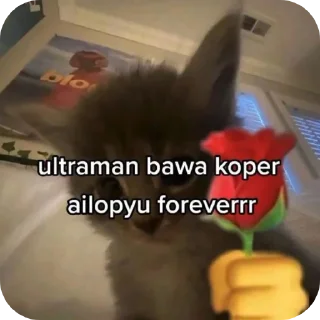 🐱 emoji pnyak keyla Telegram sticker 11 of 18
