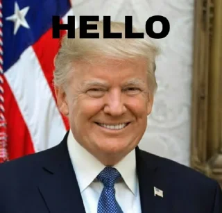 🙂 emoji @SabseZyadaOverSmart 's Donald Trump Sticker pack Telegram sticker 5 of 32