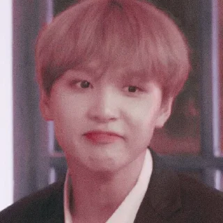 🐻 emoji haechan soft @stickernct Telegram sticker 17 of 33
