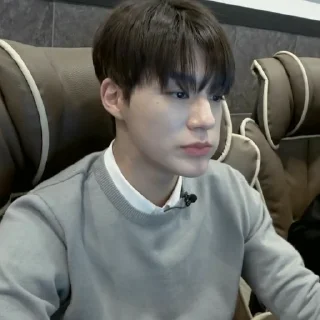 🕷 emoji @alexange as Lee Jeno Telegram sticker 10 of 29