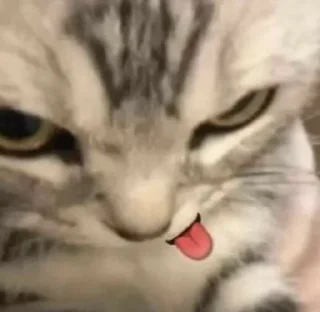😋 emoji meme stiker Telegram sticker 11 of 31