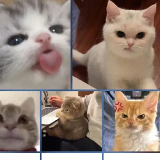 😂 emoji sin Telegram sticker 7 of 58