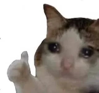Sticker from Meme cats