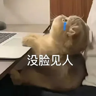 Sticker from 猫猫 更多表情👉 @emo315