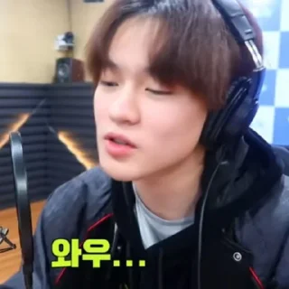 🐬 emoji — zhong chenle ˖࣪ ·﹆ @gicelyra Telegram sticker 5 of 42