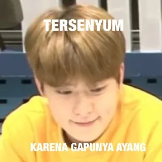 Sticker from ʚ Jaehyun's Memes ꉂ𓃠𓏧 @stickernct ɞ