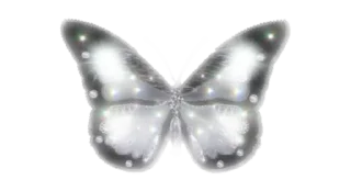 🕊 emoji @Belovebd Page Telegram sticker 13 of 53