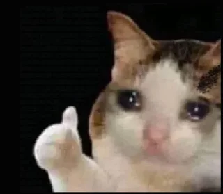 😢 emoji Lite Telegram sticker 20 of 72