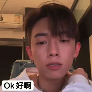 👌 emoji MC非公開活動 Telegram sticker 14 of 20