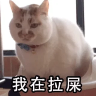 💩 emoji 有空一起拉屎 @Oxojo Telegram sticker 24 of 50