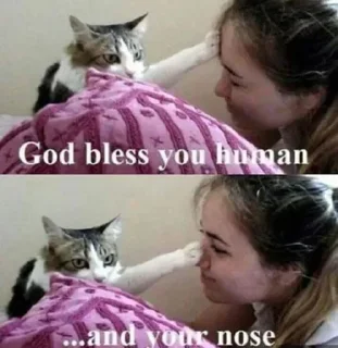 🙏 emoji 金木 研's Sticker Pack Telegram sticker 11 of 110