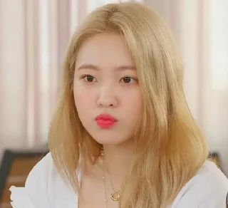 🦢 emoji YERIM Telegram sticker 23 of 28