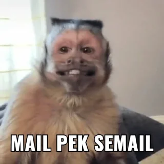 🐶 emoji jea, mail pride Telegram sticker 17 of 25