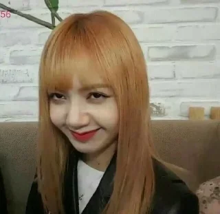 😏 emoji lisa meme @mentahanRoleplay Telegram sticker 20 of 25