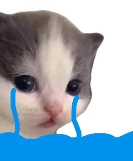 🥘 emoji Mêm của @bun_xinxo v22 
Sì péc sồ Telegram sticker 15 of 120
