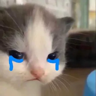 🥘 emoji Mêm của @bun_xinxo v22 
Sì péc sồ Telegram sticker 18 of 120