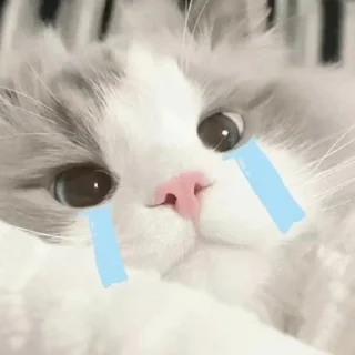 😅 emoji 白桃且66 Telegram sticker 6 of 25