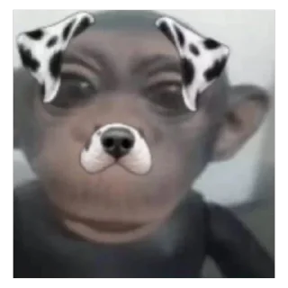 🐵 emoji ILYWALKERSCOBELL Telegram sticker 12 of 120