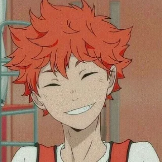 Sticker from Hinata Shoyo🍊