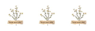 Sticker from 🧺 @flwrsthtc stickers
