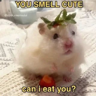 😍 emoji random shits Telegram sticker 24 of 78
