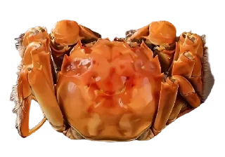 🦀 emoji 您吃了吗？ @LunTan Telegram sticker 17 of 67