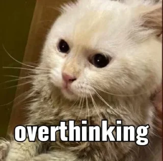 🥺 emoji meme bang @caseyluonhg Telegram sticker 7 of 52