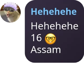 🤓 emoji Hehehehe 😁 Telegram sticker 7 of 26