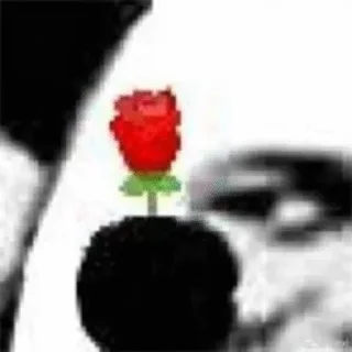 🌹 emoji 好玩的聊天群 @nb588 Telegram sticker 21 of 115