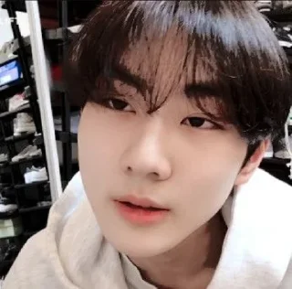 🥤 emoji YANG JUNGWON ✧ @KIMJCNNIEST Telegram sticker 18 of 43