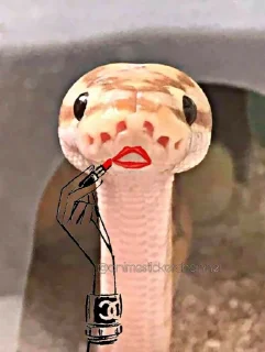💋 emoji SNAKES @animestickerchannel Telegram sticker 13 of 60