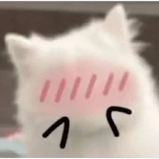 🫣 emoji ai random thingy (@th3pretties) Telegram sticker 10 of 32