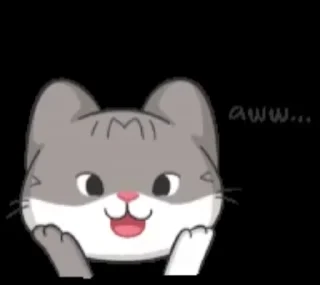 🌟 emoji Cute Cat by ᏕᏒᎧᏒᏕ 豆 Telegram sticker 7 of 40