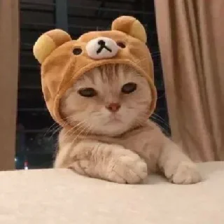 🙁 emoji Pack Punya @Owner_JBPUBG V1 Telegram sticker 18 of 80