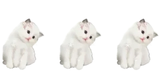 🐾 emoji @lilyrabelle's property Telegram sticker 11 of 25