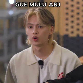 🤫 emoji GOING SEVENTEEN ONCE SAID Telegram sticker 5 of 43